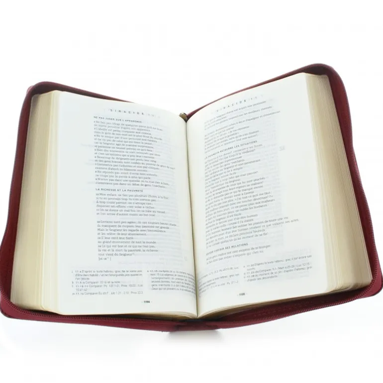 Palais du Rosaire Bible avec deutérocanoniques et notes - Français - Couverture similicuir - Tranche or - Fermeture Zip^ Bible Catholique