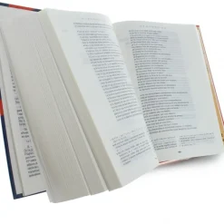 Palais du Rosaire Bible Catholique nouvelle en français courant 19 cm^ Bible Catholique
