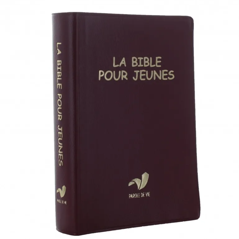 Palais du Rosaire Bible pour jeunes 17 cm^ Bible Catholique