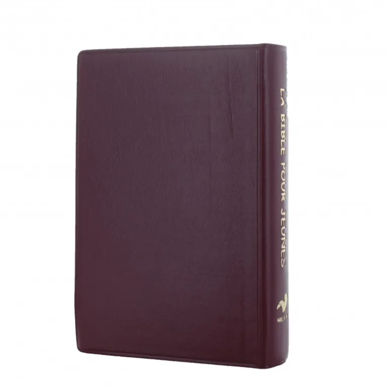 Palais du Rosaire Bible pour jeunes 17 cm^ Bible Catholique