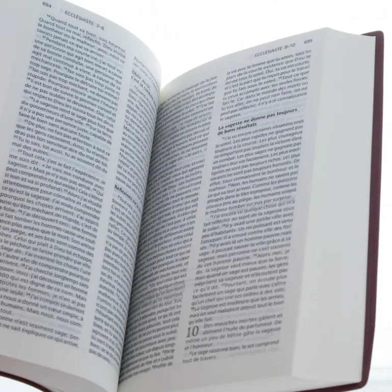 Palais du Rosaire Bible pour jeunes 17 cm^ Bible Catholique