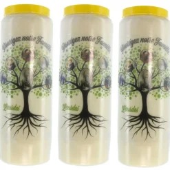 Palais du Rosaire 3 bougies de Neuvaine Arbre de Vie protecteur 17,5cm^ Bougie Neuvaine