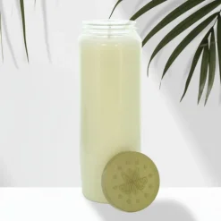 Palais du Rosaire 12 Bougies de neuvaine blanches en cire végétale sans odeur^ Bougie Neuvaine