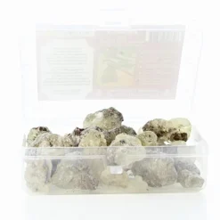 Palais du Rosaire Encens Naturel en Grains Benjoin Dragon Fly - Boîte 50g^ Encens En Grains