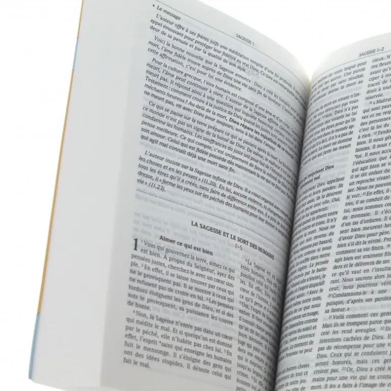 Palais du Rosaire La bible, Parole de vie 17,5 cm^ Bible Catholique