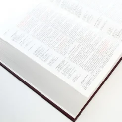 Palais du Rosaire La Bible Thompson^ Bible Catholique