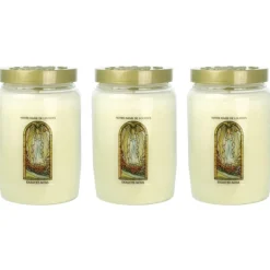 Palais du Rosaire Lot de 3 Bougies de dévotion 3 jours Notre Dame de Lourdes^ Bougie Neuvaine