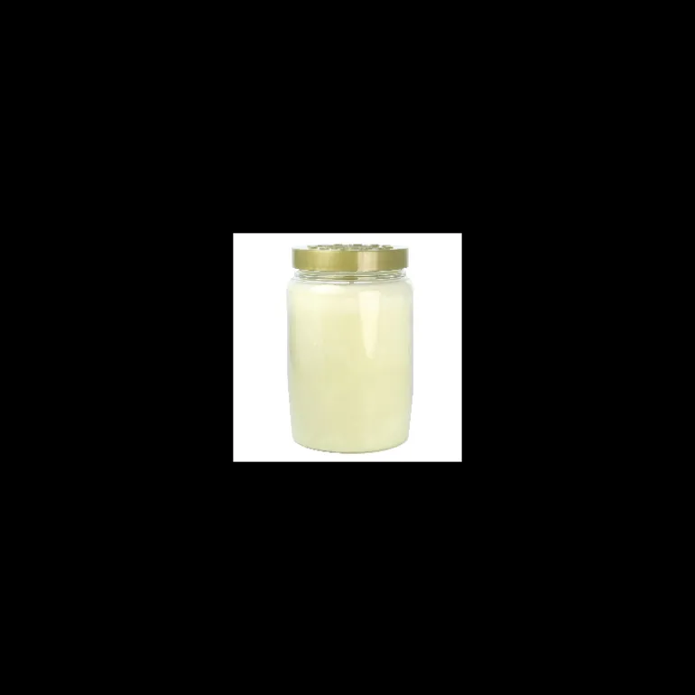 Palais du Rosaire Lot de 6 Bougies de dévotion 3 jours Notre Dame de Lourdes^ Bougie De Dévotion