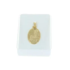 Palais du Rosaire Médaille métal doré de l'Apparition de Lourdes en boite^ Médaille De Lourdes | Médaille Et Croix Métal