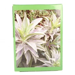 Palais du Rosaire Savon parfum sauge 125g^ Savon
