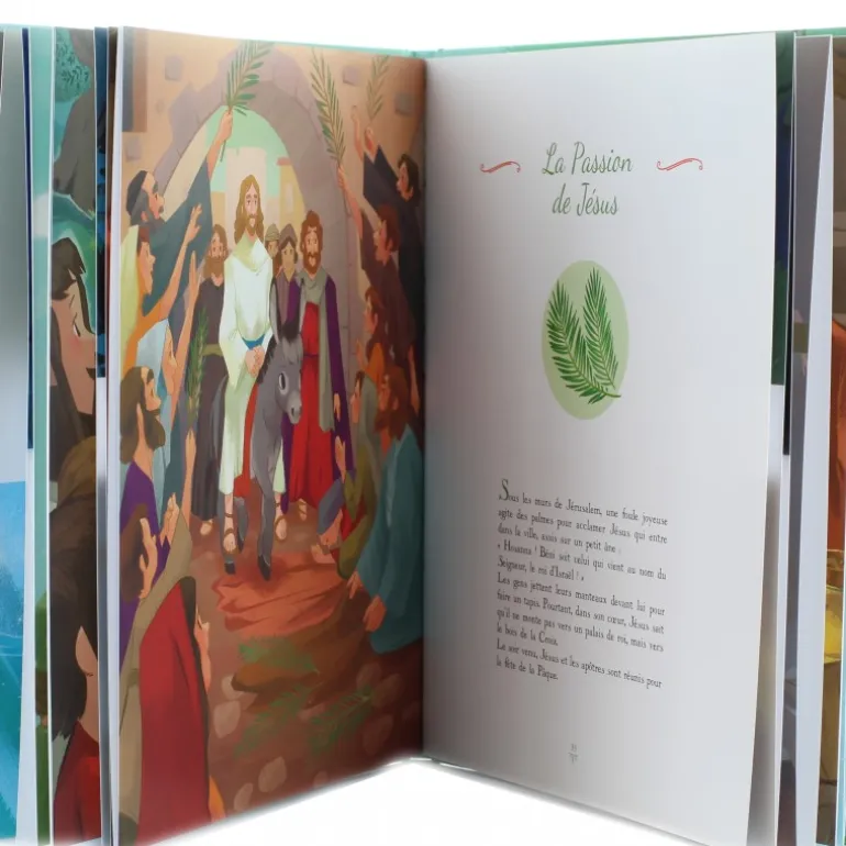 Palais du Rosaire Sur les pas de Jésus - L'évangile pour les petits^Enfant Livre Pour Enfant | Bible Catholique