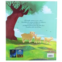 Palais du Rosaire Sur les pas de Jésus - L'évangile pour les petits^Enfant Livre Pour Enfant | Bible Catholique